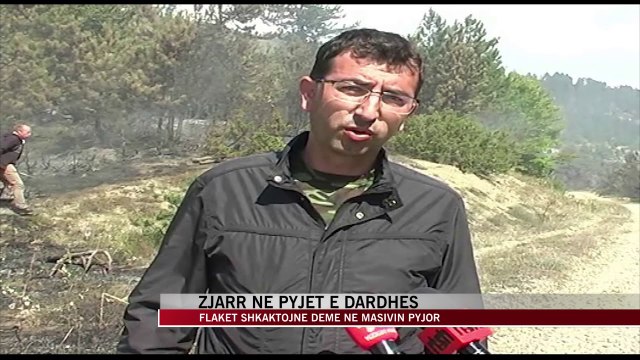 Zjarr në pyjet e Dardhës, dëme në masivin pyjor - News, Lajme - Vizion Plus