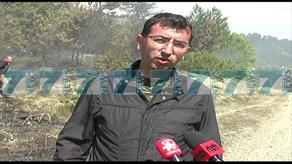 ZJARR NE PYJET E ZONES TURISTIKE TE DARDHES - News, Lajme - Kanali 10