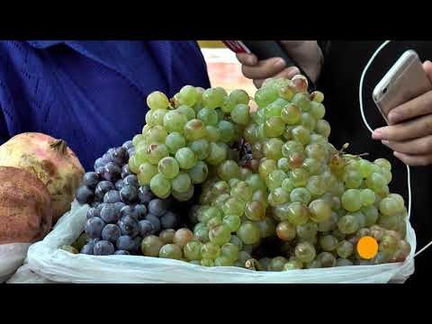 Report Tv - Rreze Dielli, Rrushi E ftuar ne studio Albana Daka