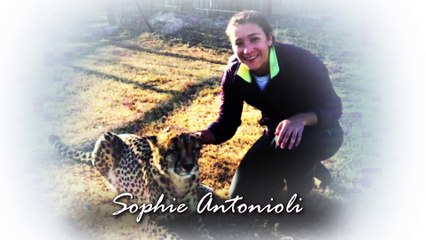 Today's Scholar-Athletes, Tomorrow's Leaders, Sophie Antonioli, Lehigh