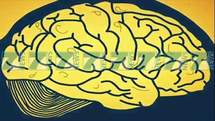 TE VUASH NGA ALZAJMERI, KOSTO E LARTE PER PACIENTET - News, Lajme - Kanali 7