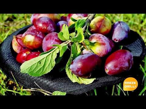 Report Tv - Rreze Dielli, E ftuar ne studio Vjollca Mamaj