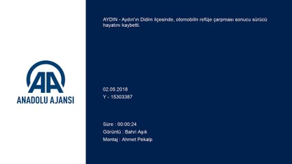 Refüje çarpan otomobilin sürücüsü öldü - AYDIN