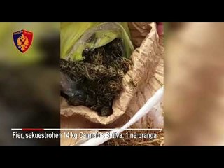 Gjendet drogë në Lushnje, arrestohet djali dhe në kërkim babai