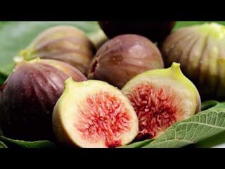 Report Tv - Rreze Dielli, "Fiku", E ftuar dietologia Enkeleida Ferrollari