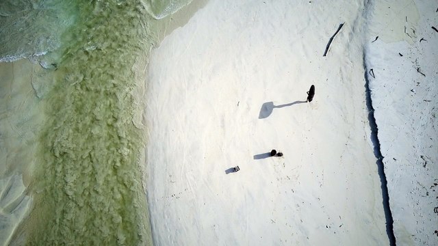 Mick Fanning Searches for Perfect, Unsurfed Waves in Retirement