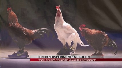 Londo: Teatri në krizë, të zgjojmë nga gjumi institucionet - News, Lajme - Vizion Plus