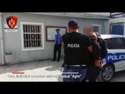Ora News – Sekuestrohen 297 kg kanabis, dy në pranga