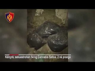 Download Video: Ora News - Sekuestrohen 54 kg kanabis, dy të arrestuar në Këlcyrë