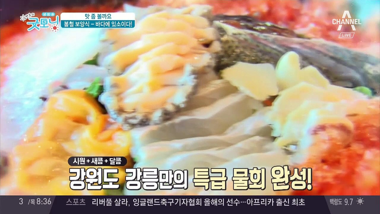 우럭 미역국부터 참치회까지! 싱싱한 '제철 해산물' 맛집의 비밀