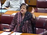 Dr Shireen Mazari's response