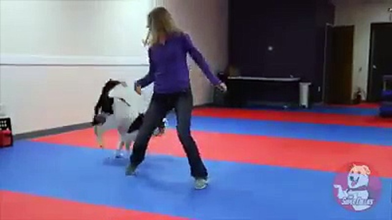A BEUTIFUL GIRL PLAYING WITH DOG WATCH DONT MISS