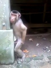 Tum Yaad Na Aaya Karo WhatsApp video