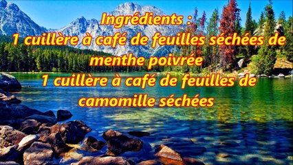 Meilleurs thés pour une digestion saine et équilibrée