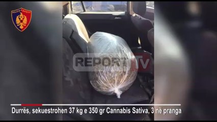 Download Video: Report TV - Durrës, kapen 37 kilogramë  marijuanë,pranga 3 trafikantëve