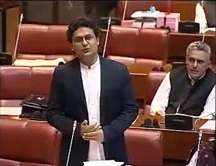 Dabang Speech of Faisal Javed Khan In Senate