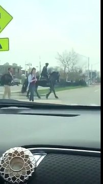 A cheval, ce policier arrête une voiture au feu rouge !