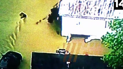 16 Mysterious Creatures Caught on LIVE TV