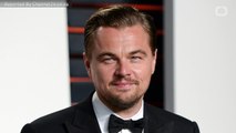 Newly Discovered Beetle Species Named After Leonardo DiCaprio