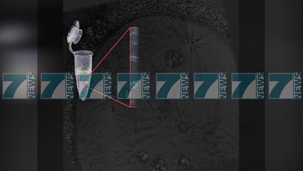 JEPET ÇMIMI “NOBEL” NE KIMI NE FUSHEN E BIOMOLEKULAVE - News, Lajme - Kanali 11