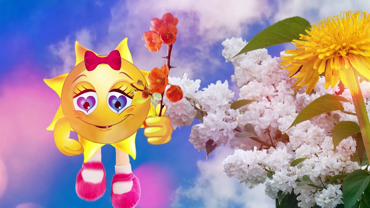 ❤️ ПРИВЕТ ДЛЯ ДРУЗЕЙ! ❤️Самый  СОЛНЕЧНЫЙ  позитив❤️Солнечный приветик для друзей❤️