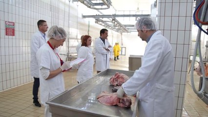 Hapet thertorja e parë publike në Tiranë - Top Channel Albania - News - Lajme