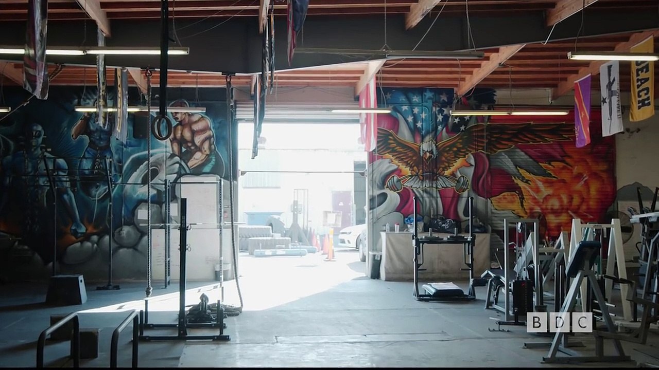 GYM WILDLIFE