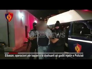 Download Video: Ora News - Lu tjetër apel të fortë: Peshqit e mëdhenj e gangstera duhen në burg