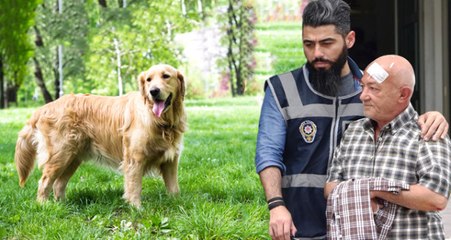 Havlayan Köpeğin Sahibini Öldüren Yaşlı Adama, İstenen Müebbet Hapis İndirildi