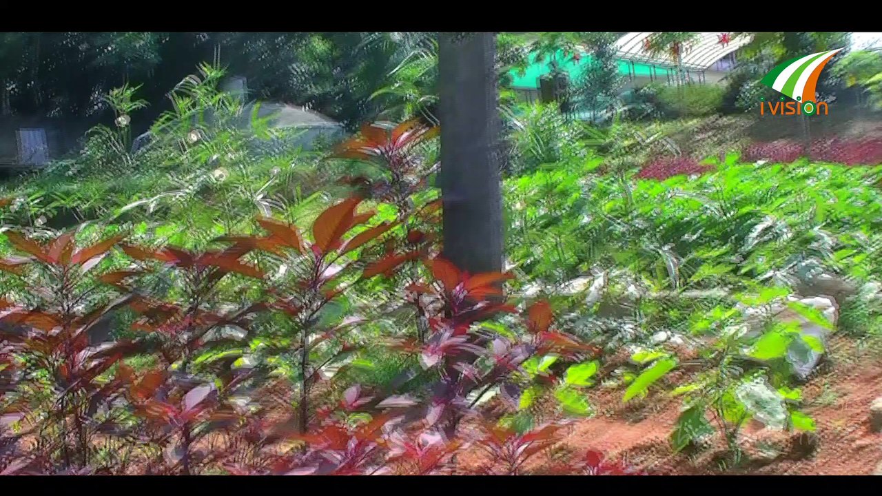 പപ്പടം കാച്ചുന്ന കർദിനാൾ മാർ ജോർജ് ആലഞ്ചേരി George Alencherry Cardinal with inmates by Ivision Ireland