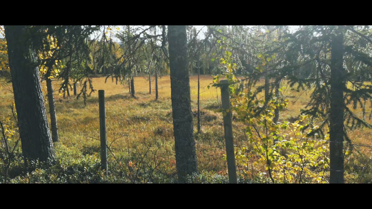 Samsung Galaxy S7 EDGE - Cinema 4K (55)