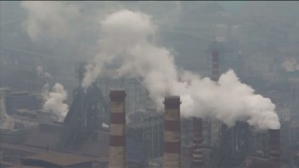 La mala calidad del aire mata a 7 millones de personas al año