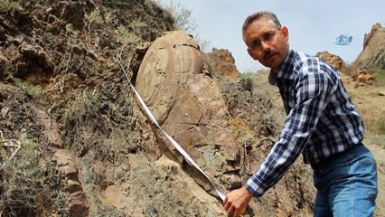 Salyangoz görünümlü kaya görenleri şaşırtıyor