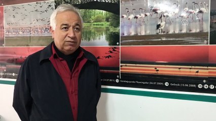 Kuş cenneti çeltikçi kuşlarıyla rengarenk - KIRŞEHİR