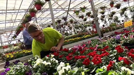 Jardinerie  des Petits Bois
