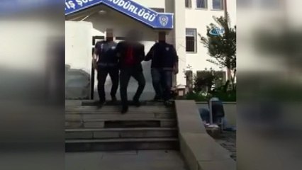 Minibüsle büyükbaş hayvan hırsızlığı