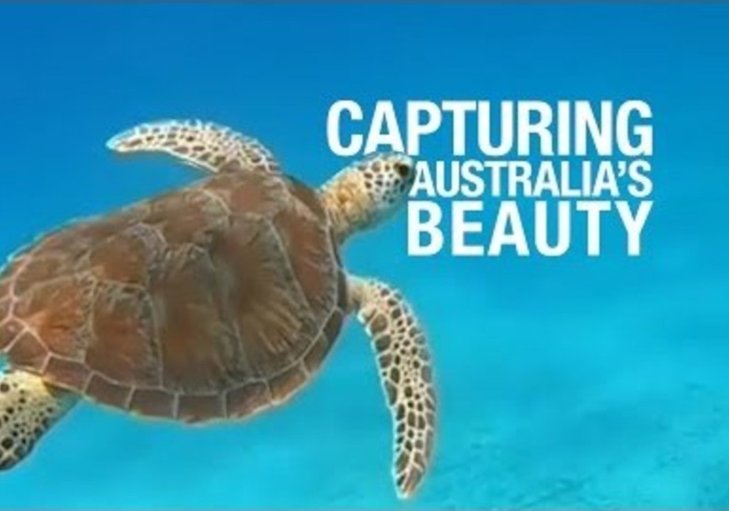 The Freediver Who Shares Australia's Beauty