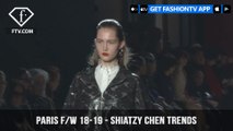 Shiatzy Chen East Meets West Trends Paris Fashion Week Fall/Winter 2018-19 | FashionTV | FTV