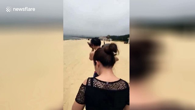 Tourist snatches live dolphin from beach, carries it over his shoulder