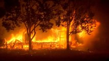 Zjarret në Kaliforni, evakuohen 20 mijë njerëz - Top Channel Albania - News - Lajme