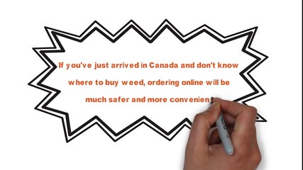 where to buy weed