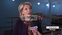 Report TV - Reportazh në Muzeun e Shkencave të Natyrës,i vetmi i llojit të tij në vend