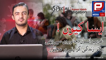 Aamer Habib l Special investigation about Poverty in Pakistan on Public TVV Media
