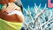 Hawaii may soon ban sunscreen containing reef-killing chemicals