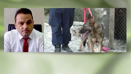 Kryetari i Gjykatës së Vlorës: Trafikantët çanë rrjetën - Top Channel Albania - News - Lajme