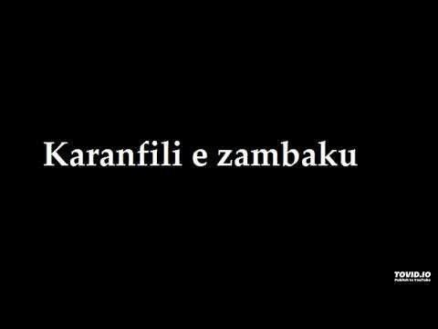 Këngë të shpirtit - Karanfili e Zambaku 07
