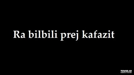 Këngë të shpirtit - Ra bilbili prej kafazit 02