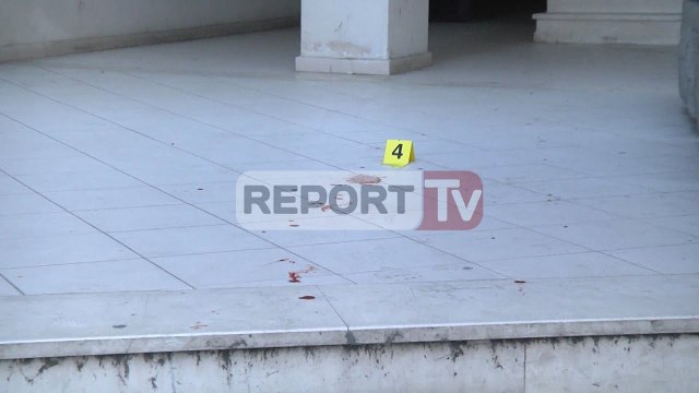 Report TV - Nipi plagos dy gjyshërit dëshmia: I qëllova se më tallnin