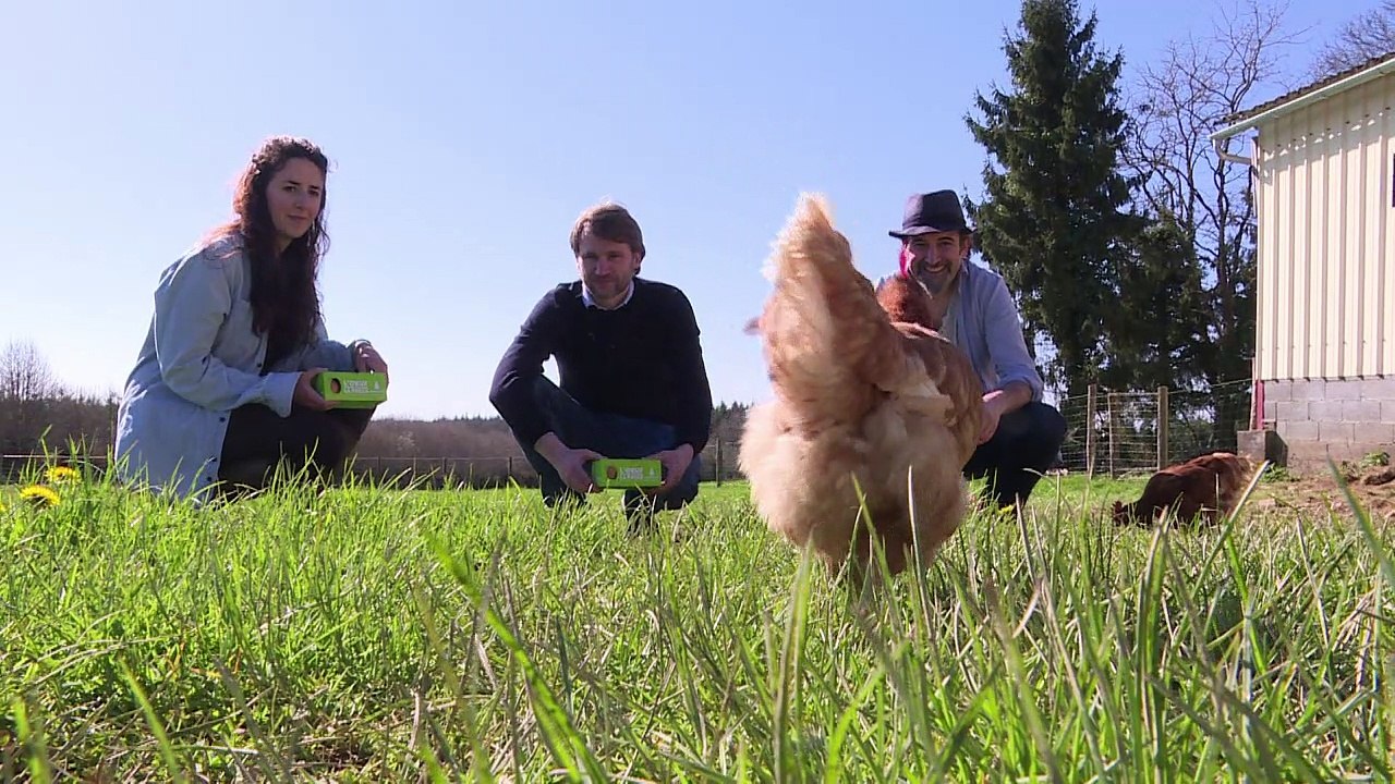 Gnadenhof für Hühner in Frankreich