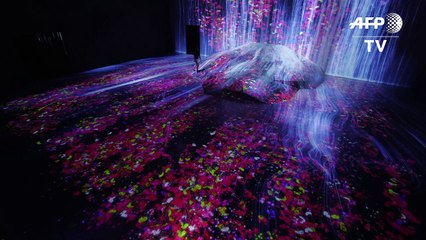 Un museo digital en Tokio desplaza las fronteras del arte